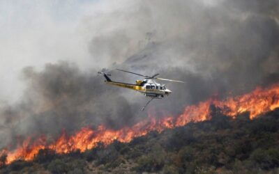 Gli Ecoreati e la Responsabilità Amministrativa 231/01